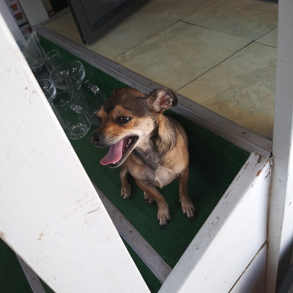 Meet your Posher, Adam